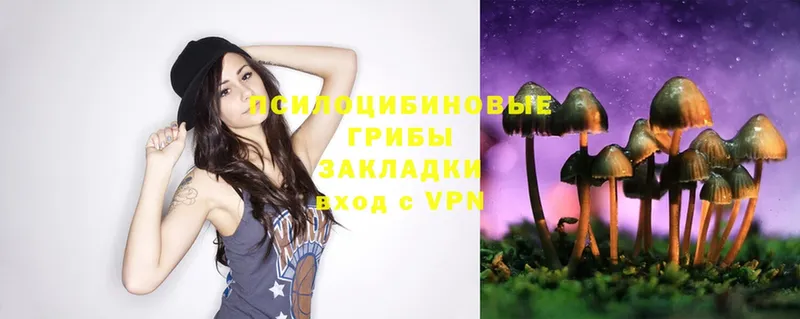 Псилоцибиновые грибы Magic Shrooms  Лысьва 